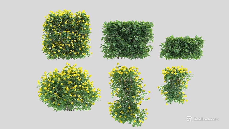 Garden Bushes With Yellow Flowers In Various Shapes And Lush Green Foliage 3d model 