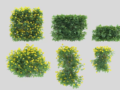 Garden Bushes With Yellow Flowers In Various Shapes And Lush Green Foliage 3d model