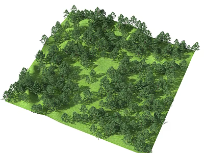 Lush Arbor Forest With Dense Green Foliage And Natural Scenic View 3d model