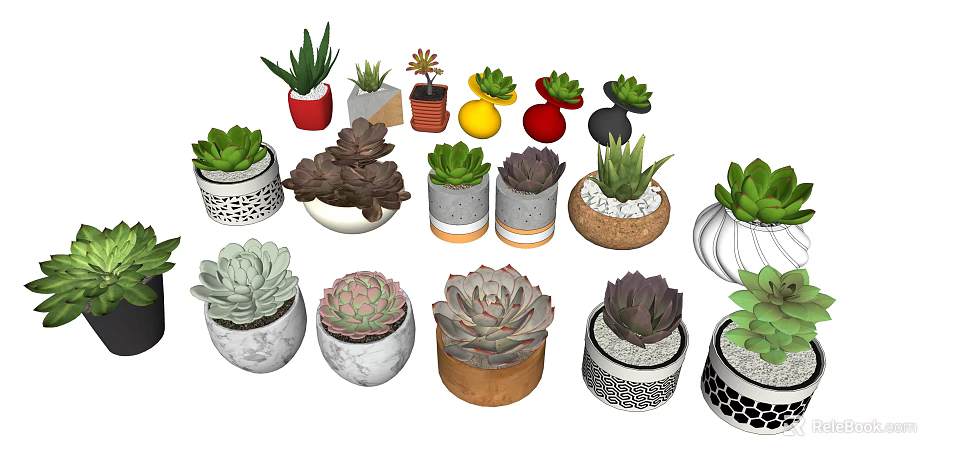 Succulent Potted Plants With Various Decorative Pots And Colorful Designs For Home Decor 3d model 