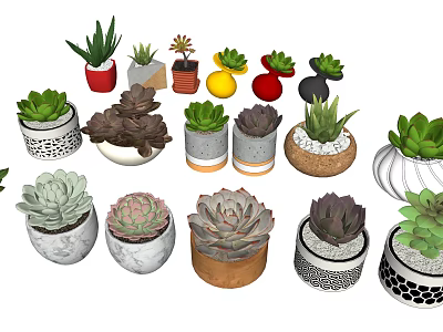 Succulent Potted Plants With Various Decorative Pots And Colorful Designs For Home Decor 3d model