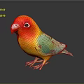 Colorful Bird With Red Head Yellow Body Green Wings Blue Tail On Dark Reflective Surface