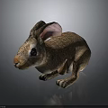 Cute Small Brown Rabbit With Big Ears Sitting On Dark Shiny Surface 3d model