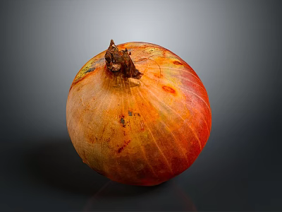 Fresh Ripe Onion With Reddish Orange Textured Skin And Stem On Dark Background 3d model