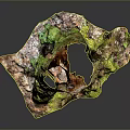 Lush Green Moss Growing on Wooden Tree Stump in Natural Plant Habitat