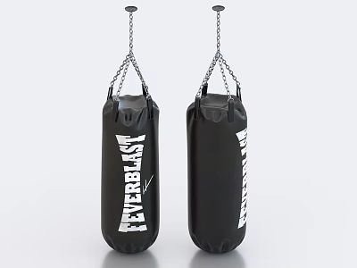 Everlast Punching Bags Two Black Sports Equipment with White Brand Text 3d model