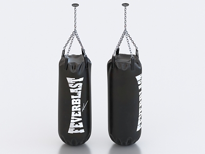 Boxing Sandbag Boxing Bag Sandbag 3d model