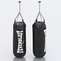 Boxing Sandbag Boxing Bag Sandbag 3d model