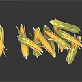 Fresh Corn Cobs in Green Husks Pile on White Background 3d model