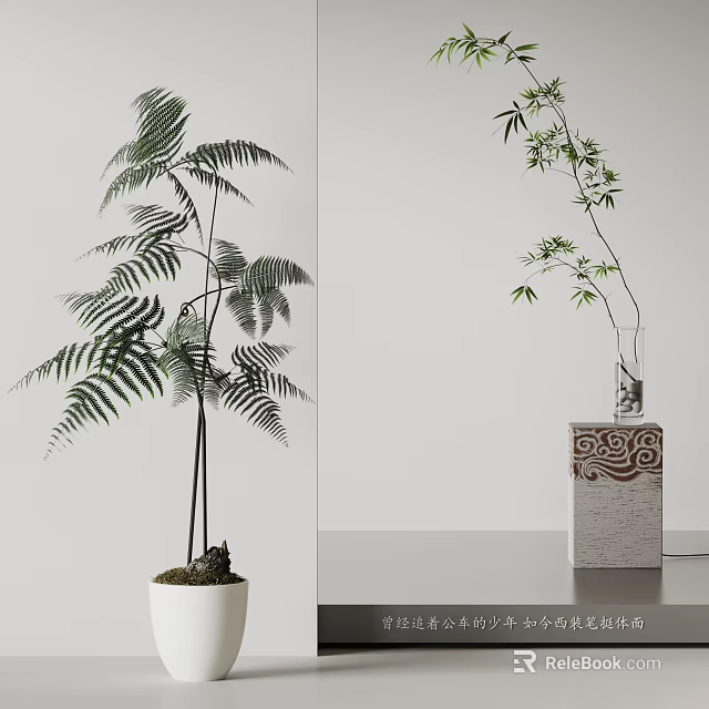 Bonsai Plants Fern and Bamboo in White Pot and Glass Vase with Decorative Base 3d model 