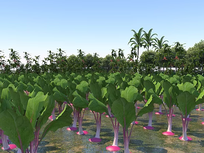 Rural Countryside Landscape With Green Crop Fields Water And Surrounding Palm Trees 3d model