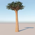 Elegant Arbor With Tall Brown Trunk And Lush Green Foliage 3d model