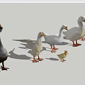 Animal Goose Duck Poultry 3d model