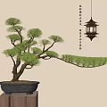 Elegant Bonsai Plant With Curved Branches In Black Pot On Wooden Stand And Hanging Lantern