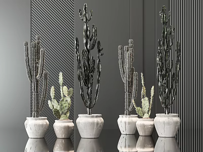 Modern Bonsai Potted Cactus Plants In White Pots On Black Tabletop With Striped Walls 3d model