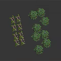 Clustered Green Leafy Plants With Pink Flowers Arranged On White Background