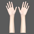 Human Hands And Arms With Natural Skin Tone On Gray Background