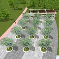 Garden Landscape Design With Neatly Arranged Potted Trees Stone Pavement Green Lawn And White Pergola
