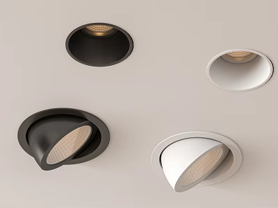 Modern Black And White Recessed Downlights With Warm Ceiling Mounted Spotlights 3d model