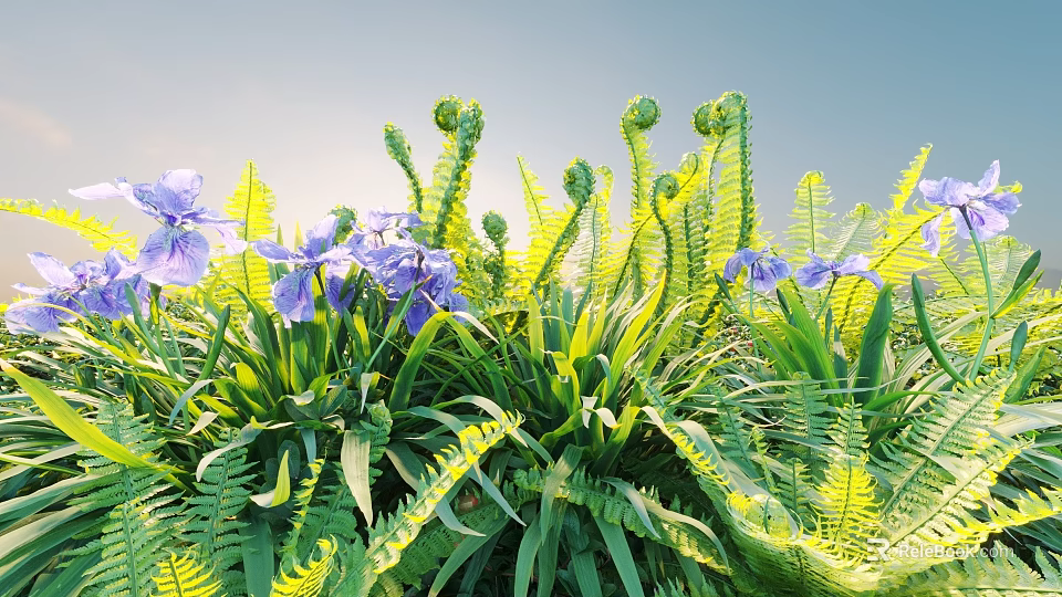 Purple Irises And Green Ferns Growing In Sunlit Garden With Lush Foliage 3d model 