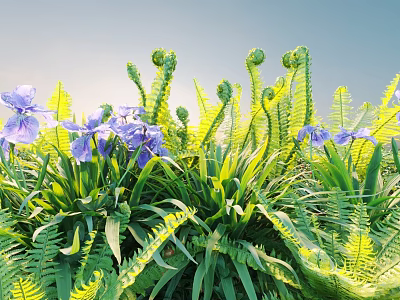 Purple Irises And Green Ferns Growing In Sunlit Garden With Lush Foliage 3d model