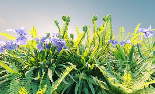 Flowers and plants combination landscape shrubs plant combination natural landscape flowers 3d model