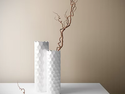 Modern White Vases with Hexagonal Texture and Brown Twigs on White Table Beige Wall Background 3d model