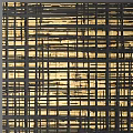 Modern Wall Decor with Black Grid Lines and Golden Background Design 3d model