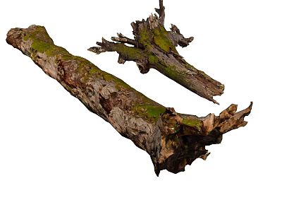 Modern wood branches 3d model Modern wood branches 3d model