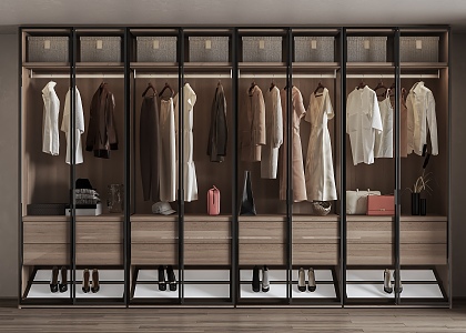 Modern Glass Door Wardrobe Full-Face Wardrobe 3d model