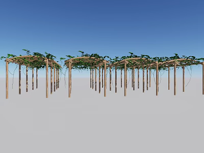 Row Of Wooden Pergolas Covered With Green Vines Under Blue Sky 3d model