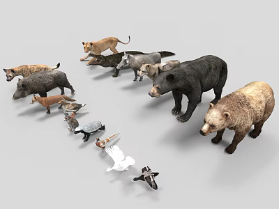 Collection of Various Animal Models Including Lion Boar Bear Bird and Turtle 3d model