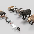 Collection of Various Animal Models Including Lion Boar Bear Bird and Turtle