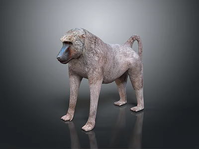 Realistic Standing Baboon 3D Model With Detailed Texture And Dark Background 3d model
