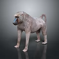 Realistic Standing Baboon 3D Model With Detailed Texture And Dark Background 3d model