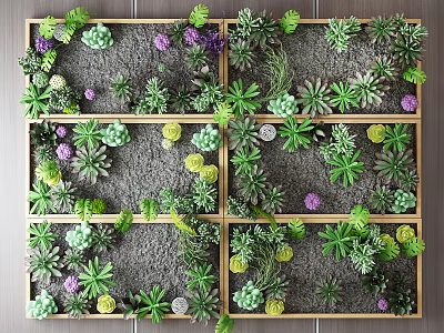 Decorative Living Plant Wall With Various Succulents And Wooden Frame Design 3d model