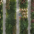 Stunning Living Plant Wall Design With Diverse Greenery And Colorful Blooms