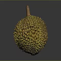Fresh Whole Yellow Spiky Durian Fruit With Brown Stem On Gray Background