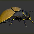 Vibrant Metallic Beetle With Iridescent Gold Blue Shell Yellow Blue Legs And Shiny Exoskeleton
