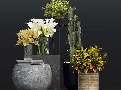 Bonsai and Potted Plants Display With Greenery White Lilies Yellow Flowers And Various Pots 3d model