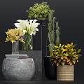 Bonsai and Potted Plants Display With Greenery White Lilies Yellow Flowers And Various Pots