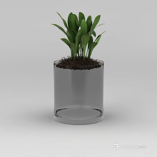 Tech Exhibition Hall Interior With Transparent Glass Vase Green Plants And Soil 3d model 