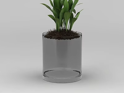 Tech Exhibition Hall Interior With Transparent Glass Vase Green Plants And Soil 3d model