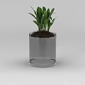 Tech Exhibition Hall Interior With Transparent Glass Vase Green Plants And Soil