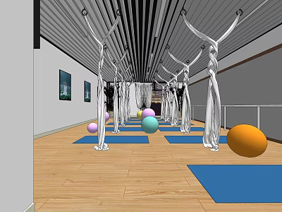 Yoga Fitness Studio With Hammocks Mats And Colorful Exercise Balls On Wooden Floor 3d model