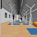 Yoga Fitness Studio With Hammocks Mats And Colorful Exercise Balls On Wooden Floor