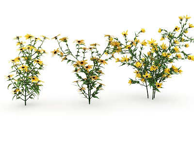 Yellow Flowering Plants with Green Leaves and Stems in Three Vibrant Clusters 3d model