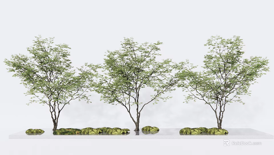 Row of Arbor Trees with Lush Green Foliage and Stone Bases Near Water 3d model 