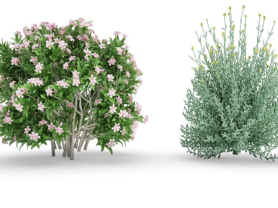 Shrubs 3d model Shrubs 3d model