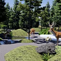 Scenic Park Landscape With Spotted Deer Tall Trees Gravel Path Water Rocks And Lush Grass